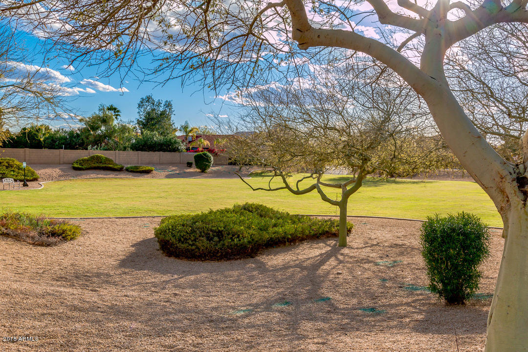 3355 East Escuda Road Phoenix, AZ 85050 - Photo 50 of 50 50-Escuda