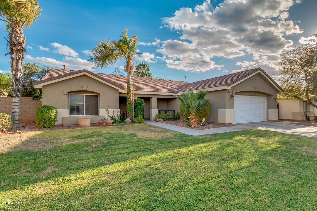 3355 East Escuda Road Phoenix, AZ 85050 - Photo 6 of 50 06-Escuda