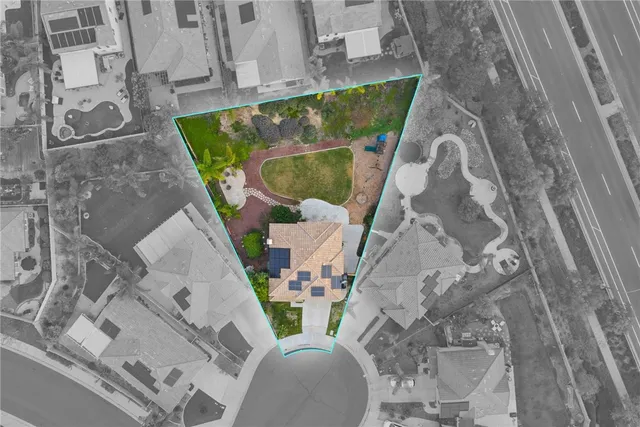 a bird sitting on top of a wooden floor