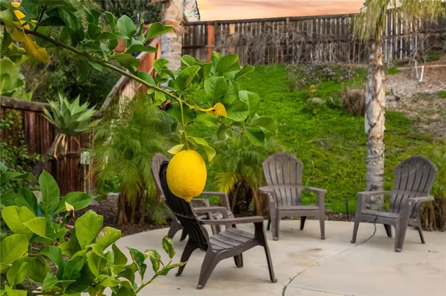 a view of a chairs in backyard with plants and wooden fence