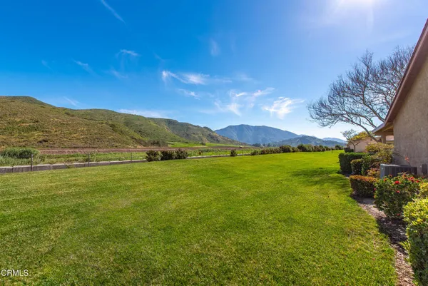 a view of yard with green space