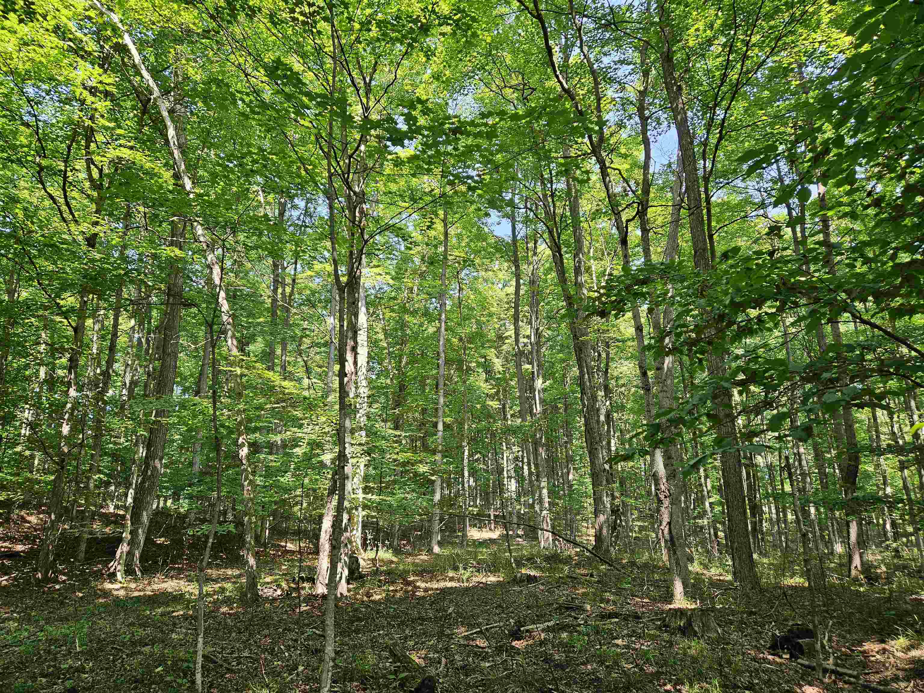 Tbd Tbd Willsey Road Traverse City, MI 49696 - Photo 6 of 22