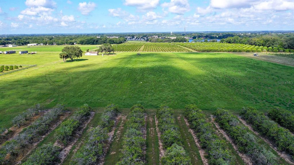 0 Charles Osborne Road Umatilla, FL 32784 - Photo 1 of 1 a view of an outdoor space and yard