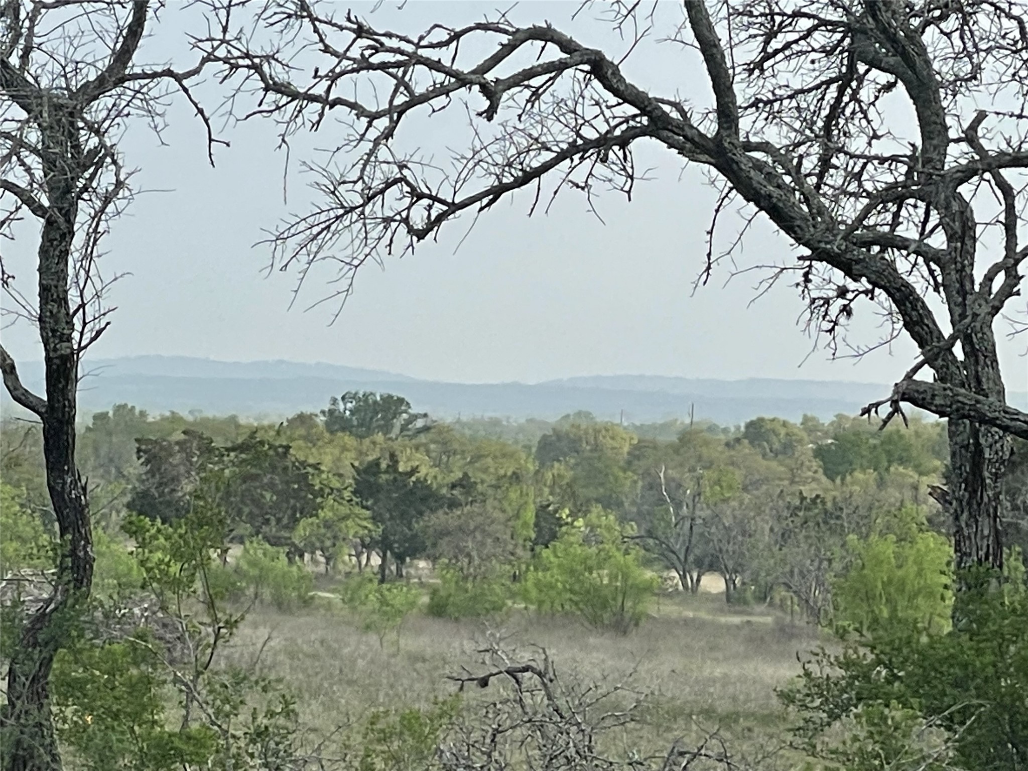 Tbd Winnie Smith Road Round Mountain, TX 78663 - Photo 24 of 30 a view of a yard with a tree