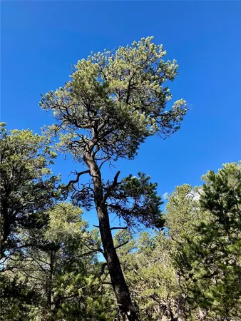 a view of house with background space