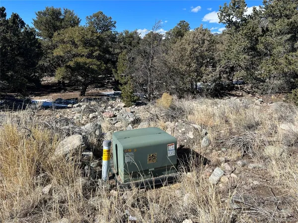 a view of a yard covered in snow
