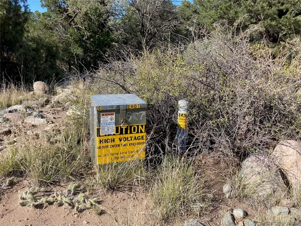 a view of a dry yard with wooden fence