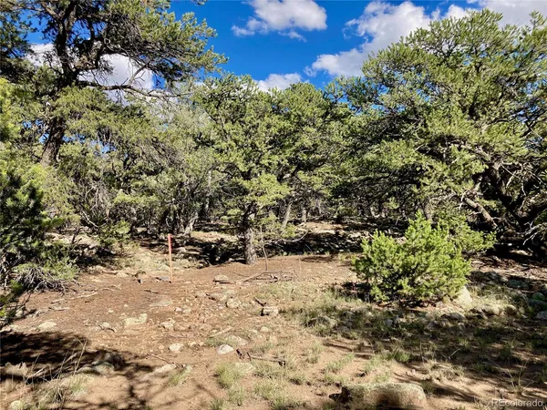 a view of outdoor space and covered with trees
