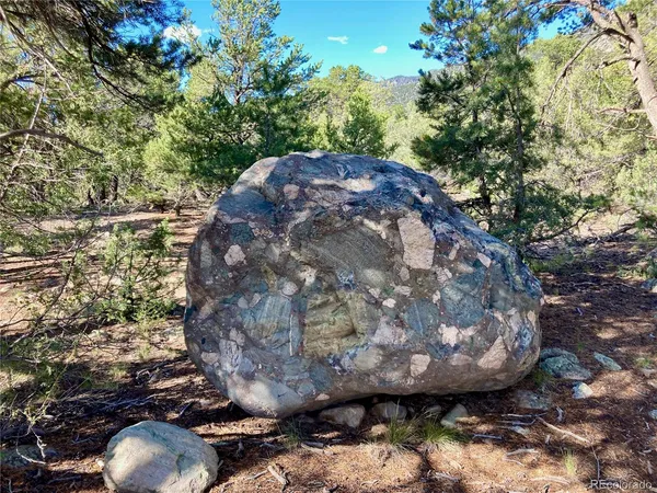 a view of a backyard of a house