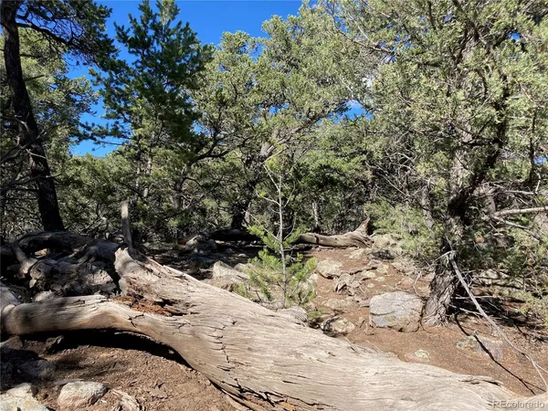 a view of outdoor space and a yard