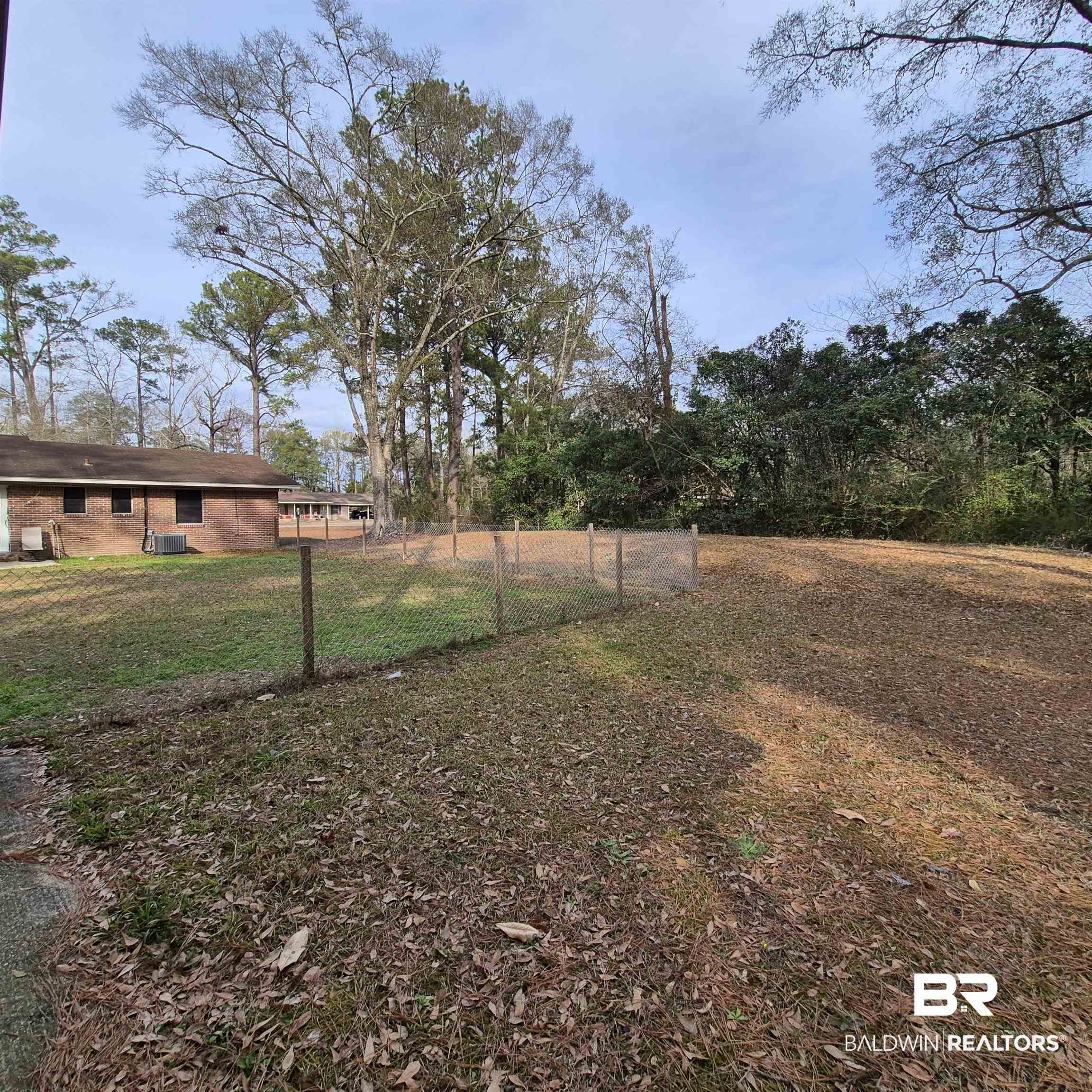491 Forrest Avenue Castleberry, AL 36432 - Photo 27 of 33 View of yard
