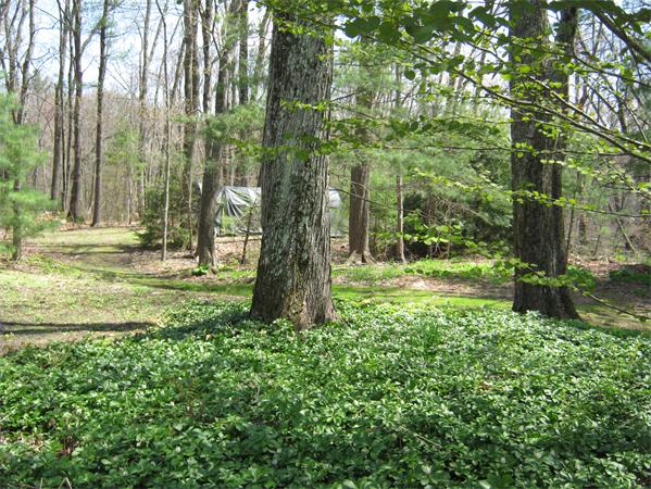 54 Old Marlboro Road Maynard, MA 01754 - Photo 22 of 27 Gallery Image 22