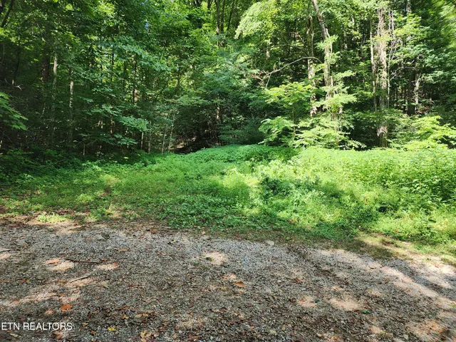 $99,900 | 1986 Carrs Creek Road, Townsend, TN 37882