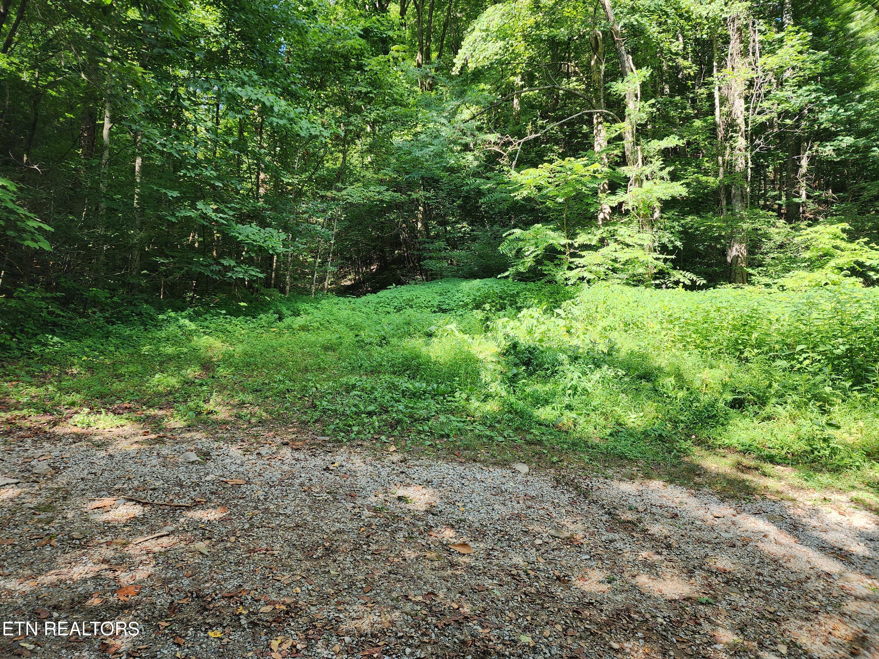 1986 Carrs Creek Road Townsend, TN 37882 - Photo 1 of 25 1986 Carrs Creek Rd
