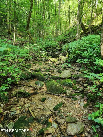 $99,900 | 1986 Carrs Creek Road, Townsend, TN 37882