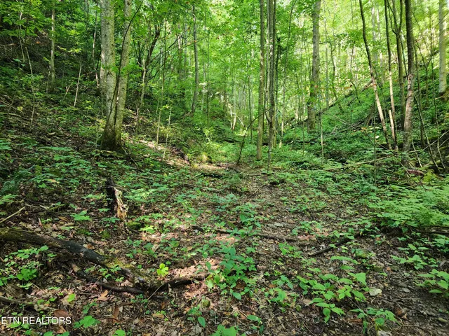 $99,900 | 1986 Carrs Creek Road, Townsend, TN 37882