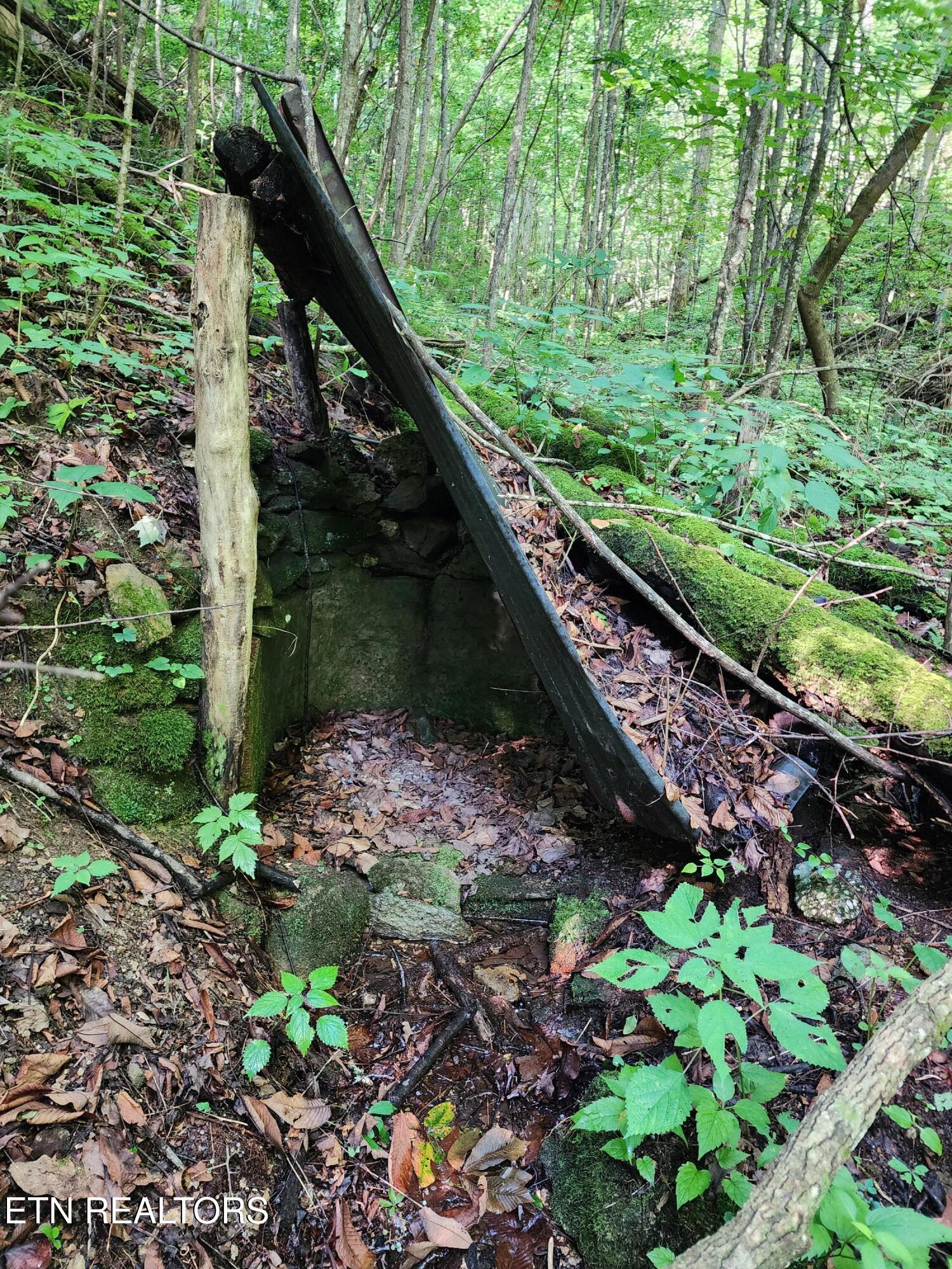 1986 Carrs Creek Road Townsend, TN 37882 - Photo 16 of 25 20250723_101354