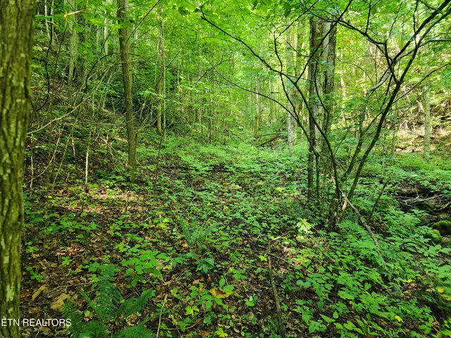 $99,900 | 1986 Carrs Creek Road, Townsend, TN 37882