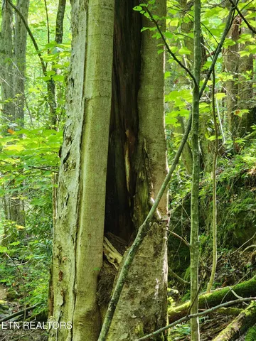 $99,900 | 1986 Carrs Creek Road, Townsend, TN 37882