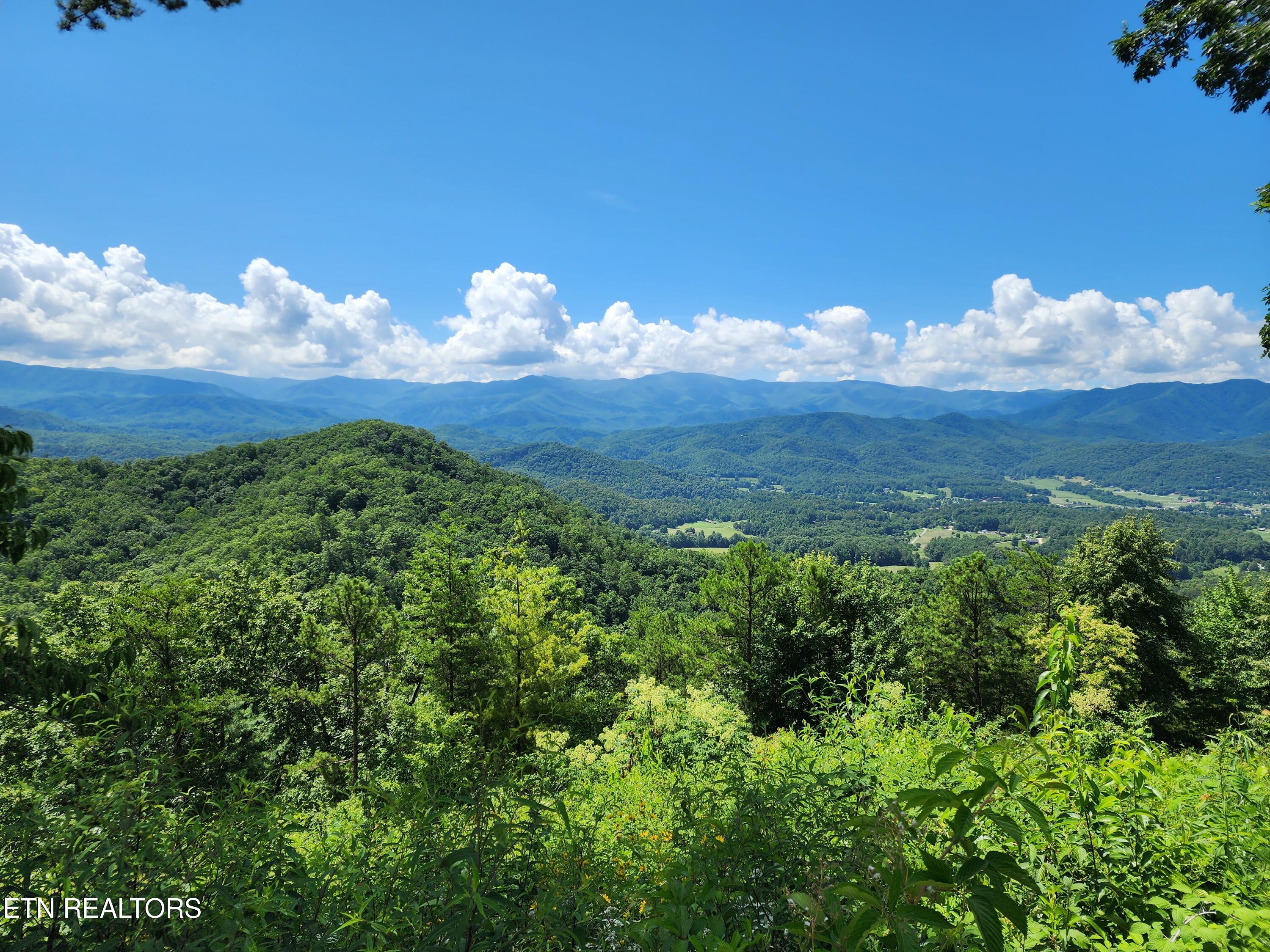 1986 Carrs Creek Road Townsend, TN 37882 - Photo 20 of 25 Beautiful Mountain Views at the top