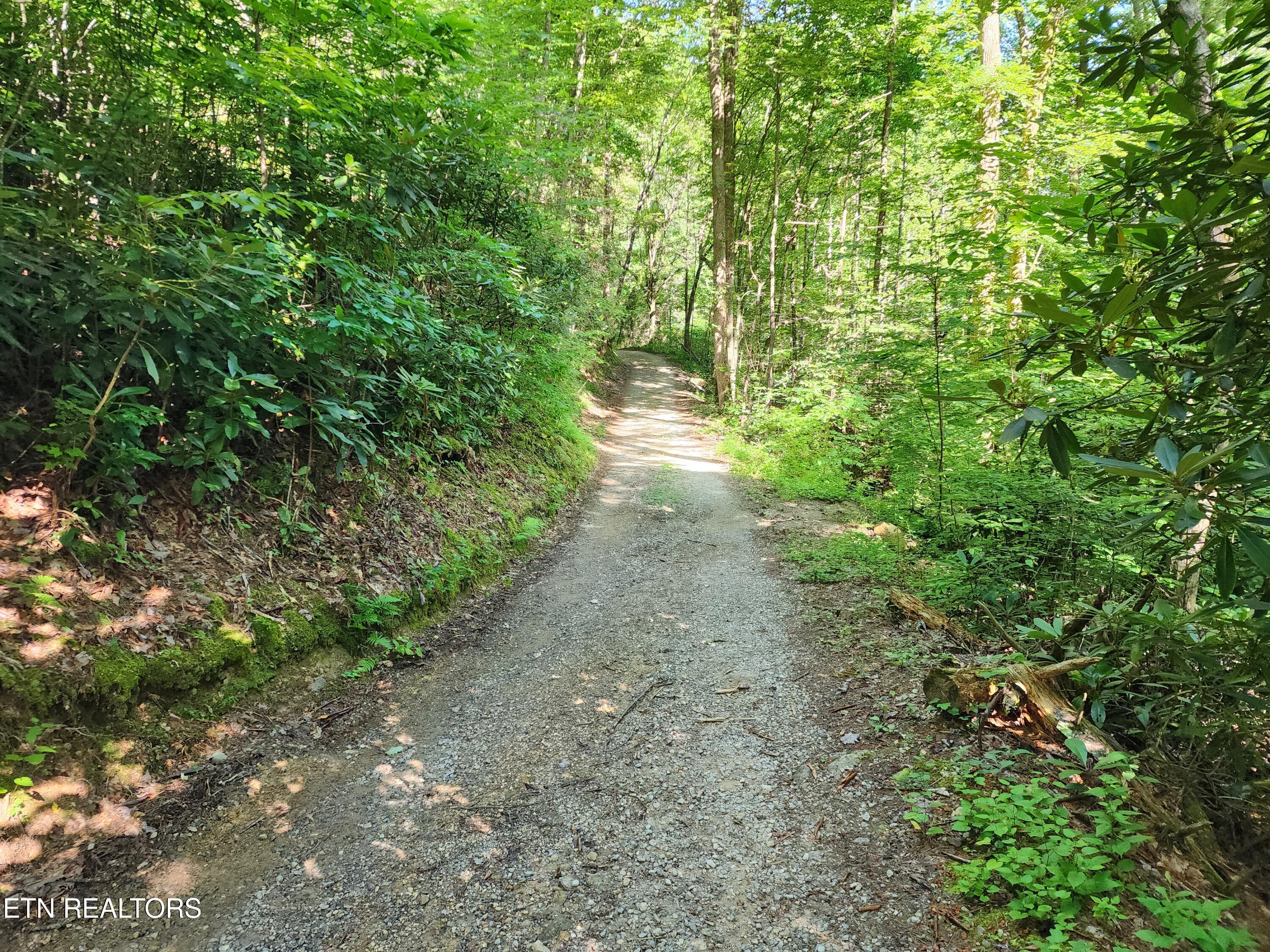1986 Carrs Creek Road Townsend, TN 37882 - Photo 6 of 25 Access is one lane gravel Rd