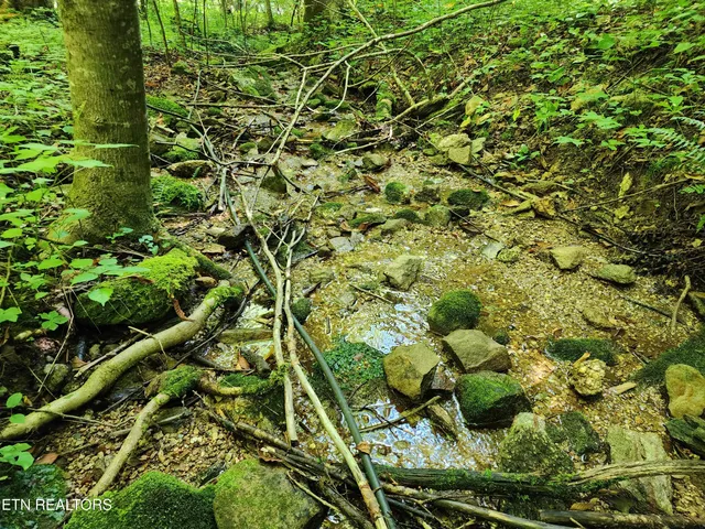 $99,900 | 1986 Carrs Creek Road, Townsend, TN 37882