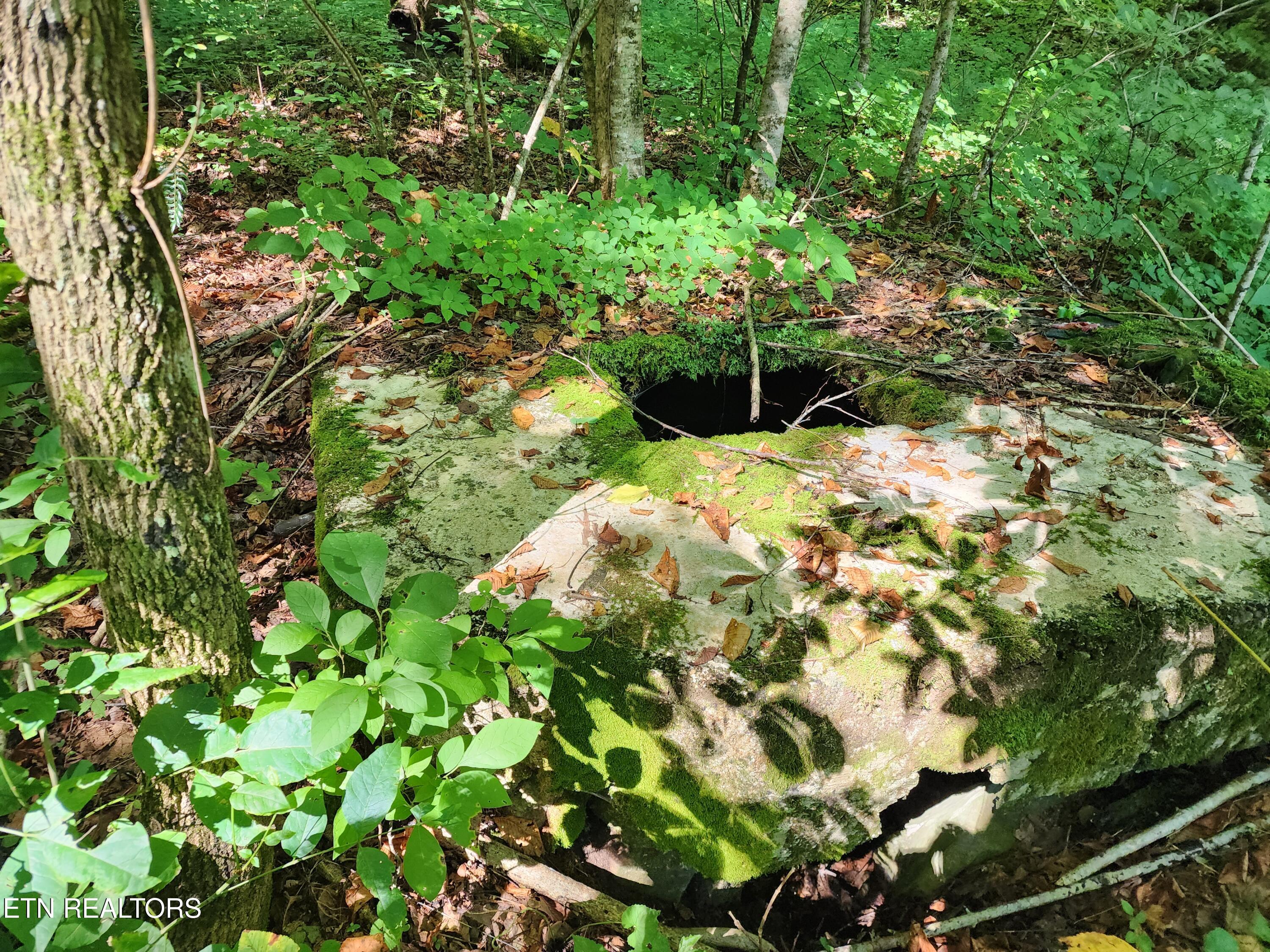 1986 Carrs Creek Road Townsend, TN 37882 - Photo 8 of 25 Concrete Cistern on the property