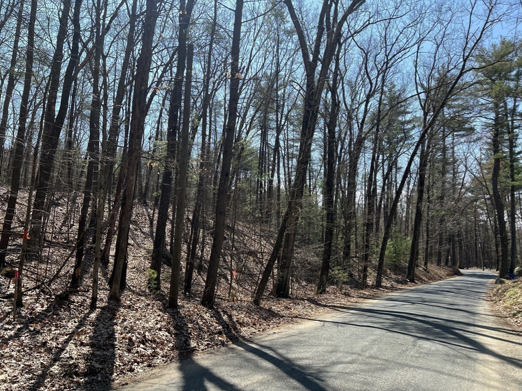 Lot 4 January Hills Road Amherst, MA 01002 - Photo 4 of 11 a view of a yard and trees