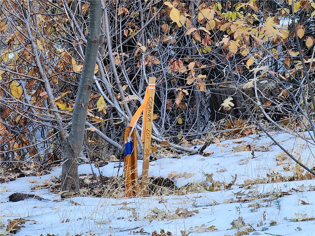 104 Fremont Road Lake Arrowhead, CA 92352 - Photo 11 of 15 a view of a tree in front of a house