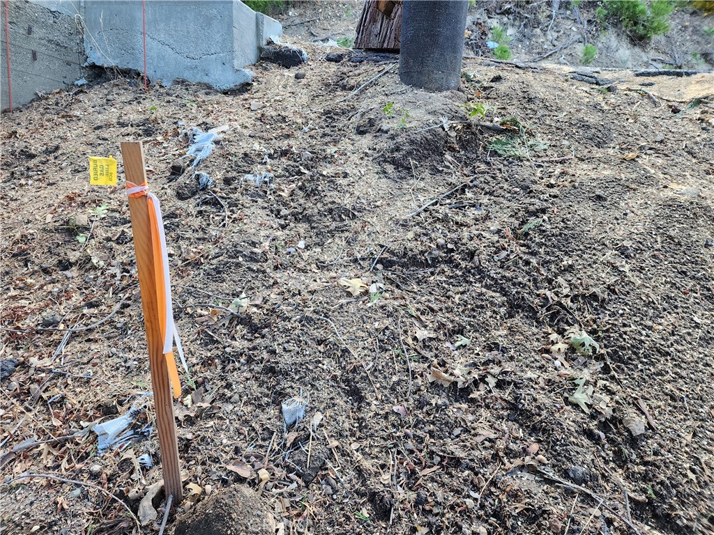 104 Fremont Road Lake Arrowhead, CA 92352 - Photo 12 of 15 a view of a backyard