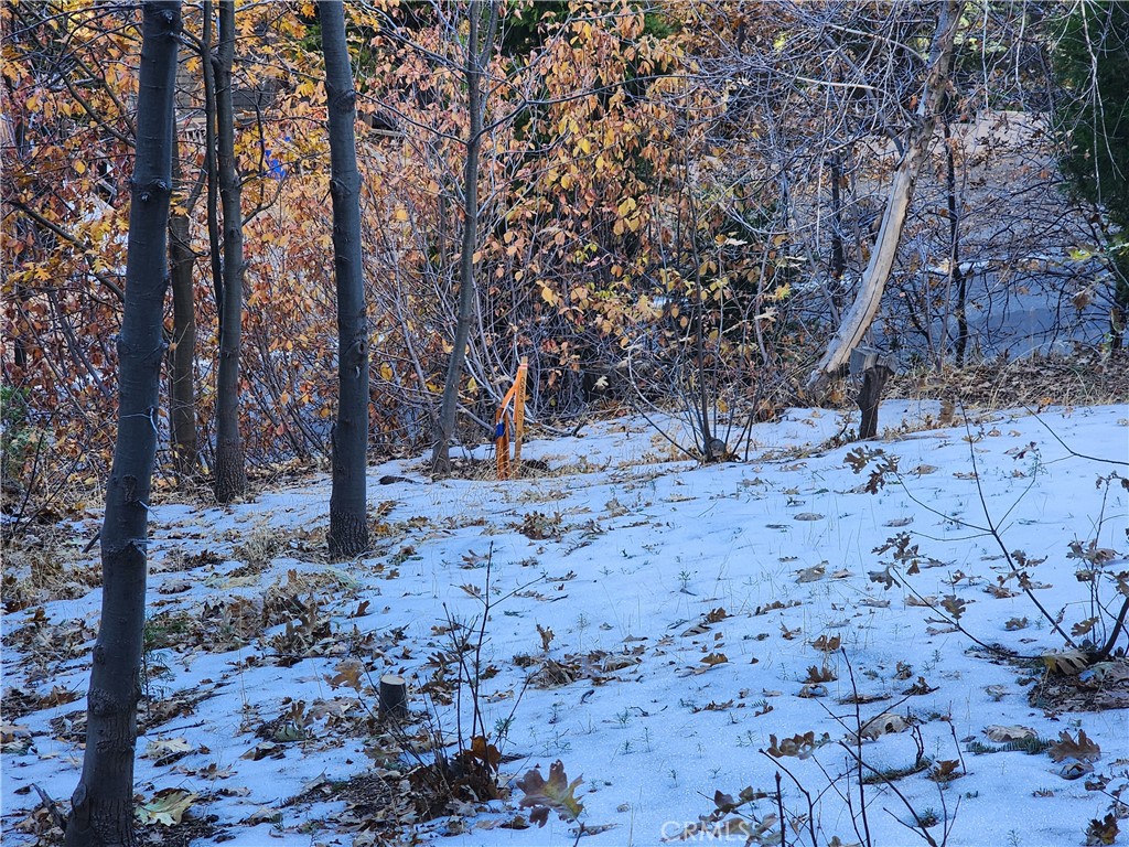 104 Fremont Road Lake Arrowhead, CA 92352 - Photo 13 of 15