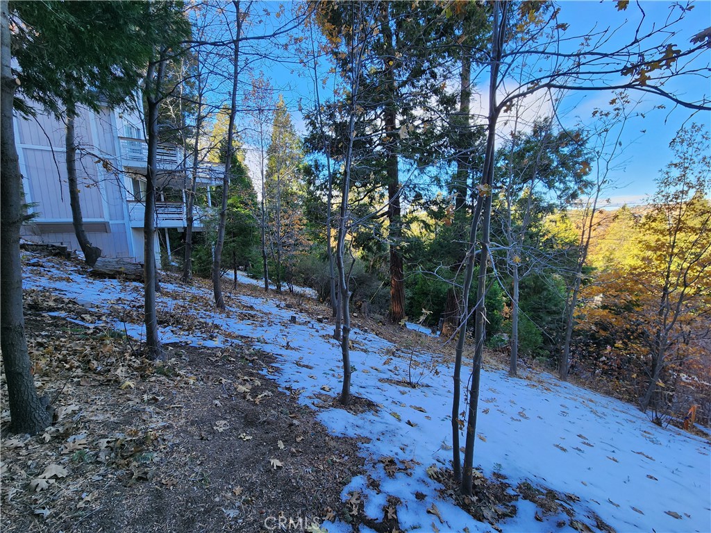 104 Fremont Road Lake Arrowhead, CA 92352 - Photo 9 of 15 a view of a forest filled with trees