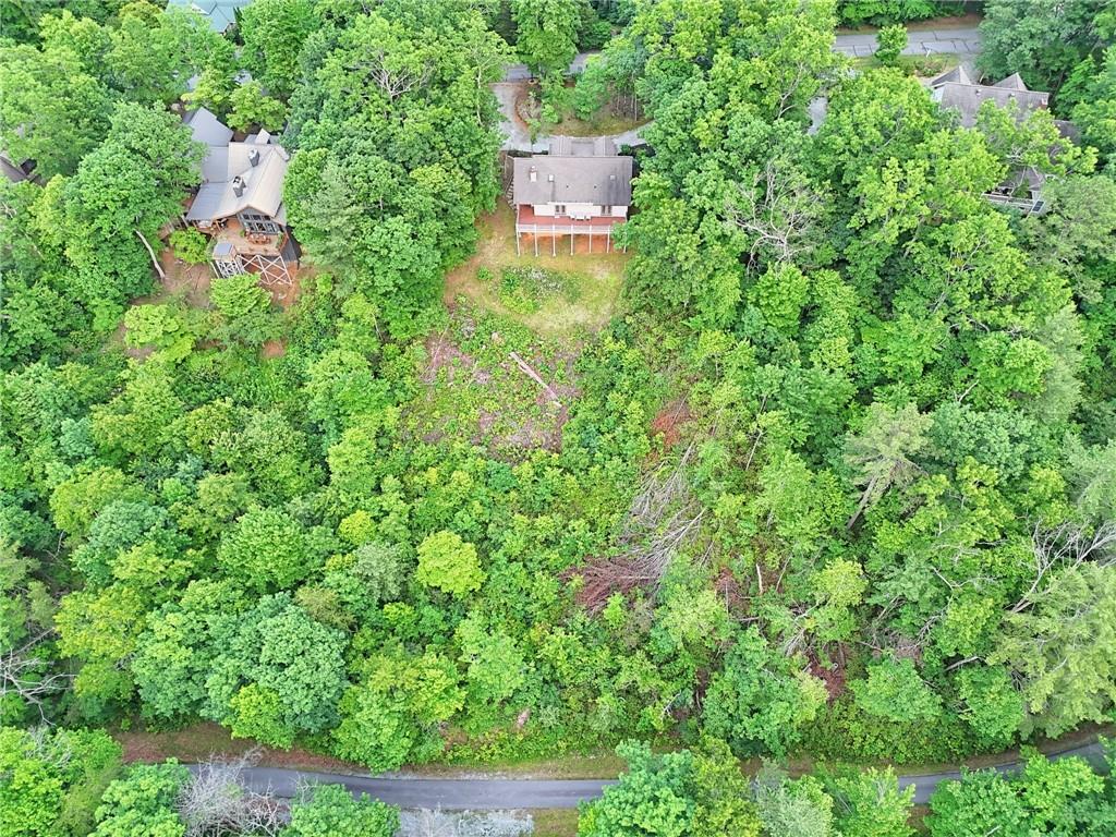 734 Long Laurel Ridge Drive Lakemont, GA 30552 - Photo 64 of 66