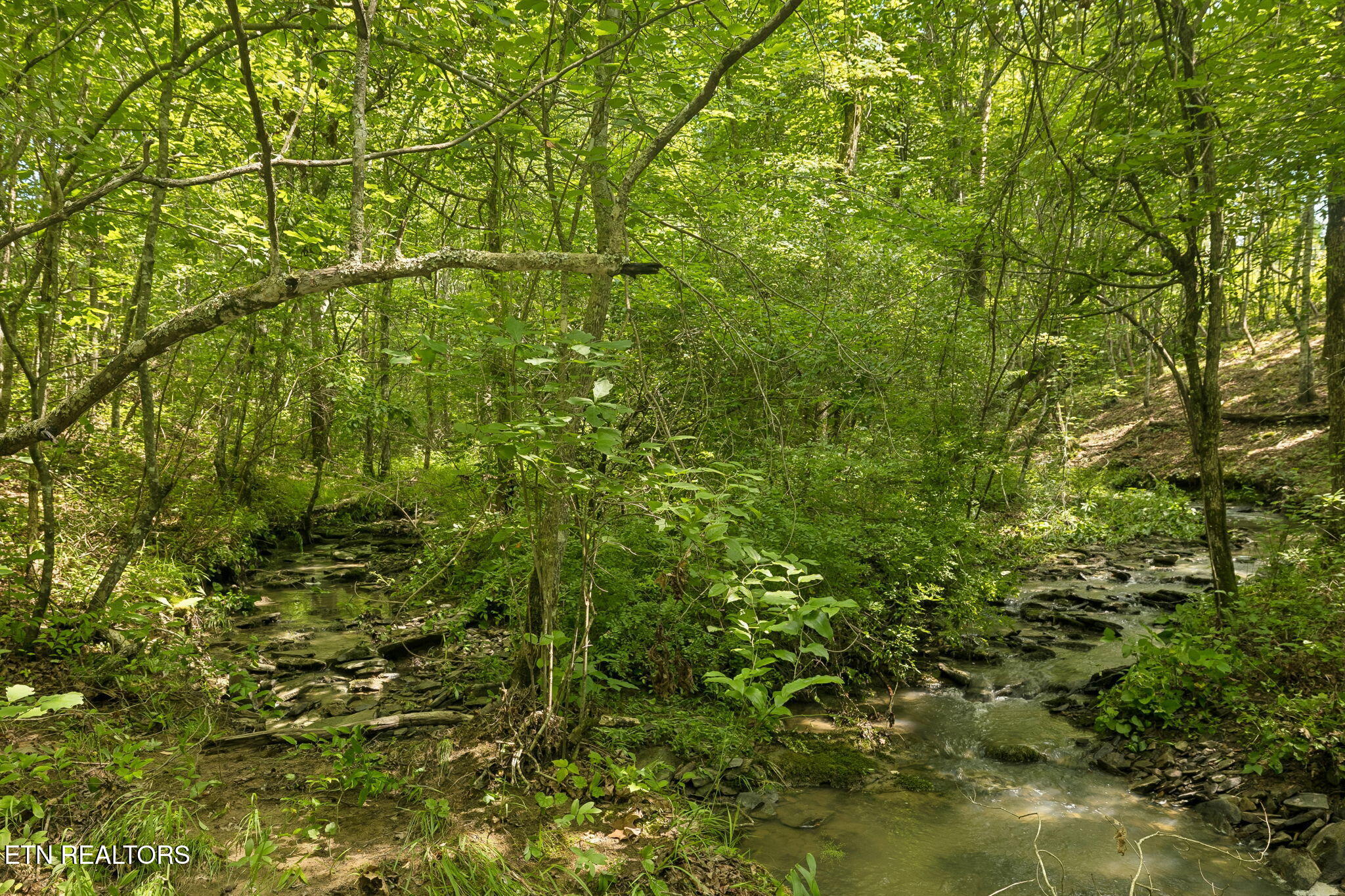 Sheep Ranch Road, Unit 24 Robbins, TN 37852 - Photo 19 of 33 8-Sheep Ranch Rd-008