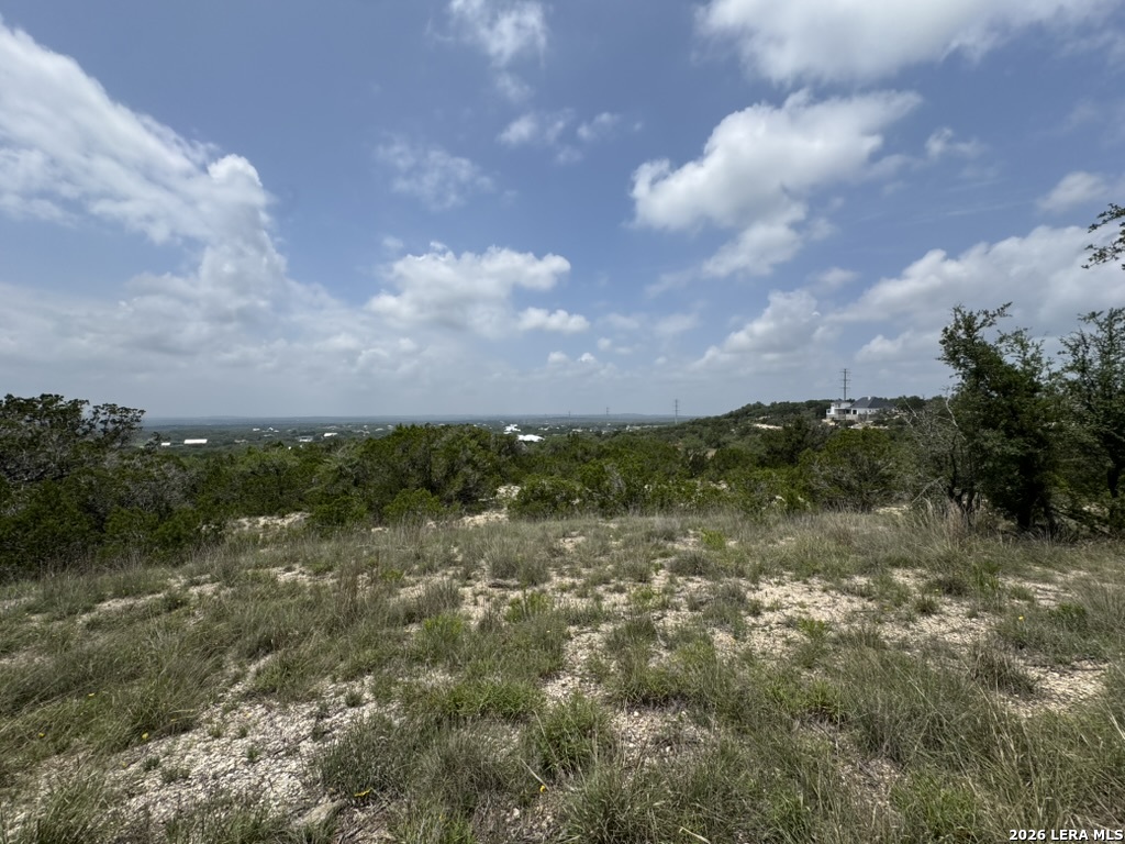 686 Butler Oaks Bulverde, TX 78163 - Photo 5 of 11