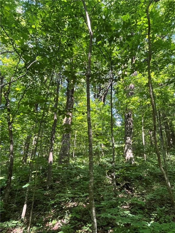 0 Monument Road Jasper, GA 30143 - Photo 3 of 9