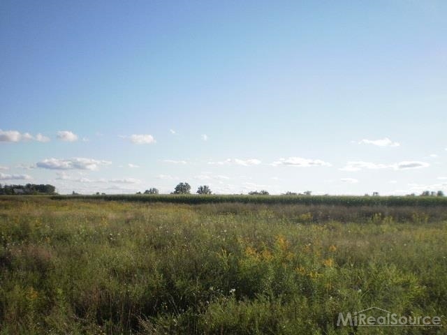 0 Metcalf Road Capac, MI 48014 - Photo 9 of 14