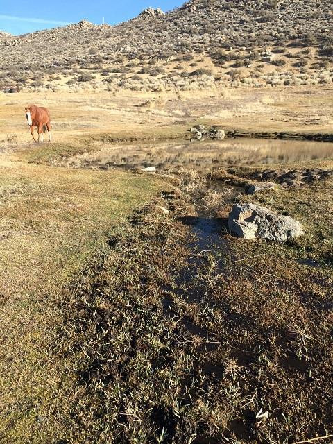 0 Duck Road, Unit LT 2 Washoe Valley, NV 89704 - Photo 1 of 1 Photo 1