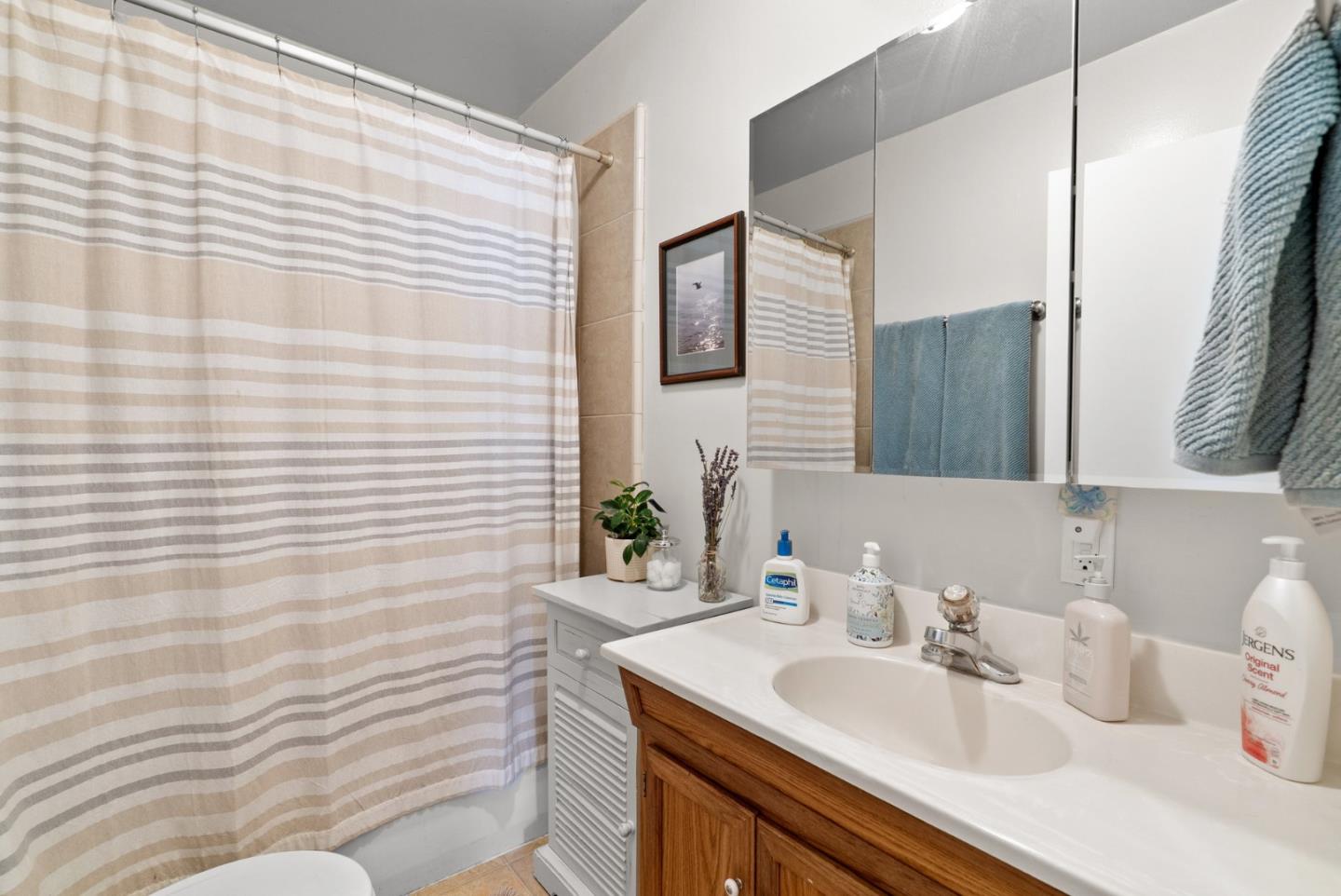1450 Merrill Street Santa Cruz, CA 95062 - Photo 10 of 21 a bathroom with a sink and a mirror