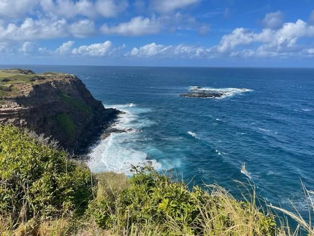 Manawai Place Haiku, HI 96708 - Photo 6 of 9 Gallery Image 6
