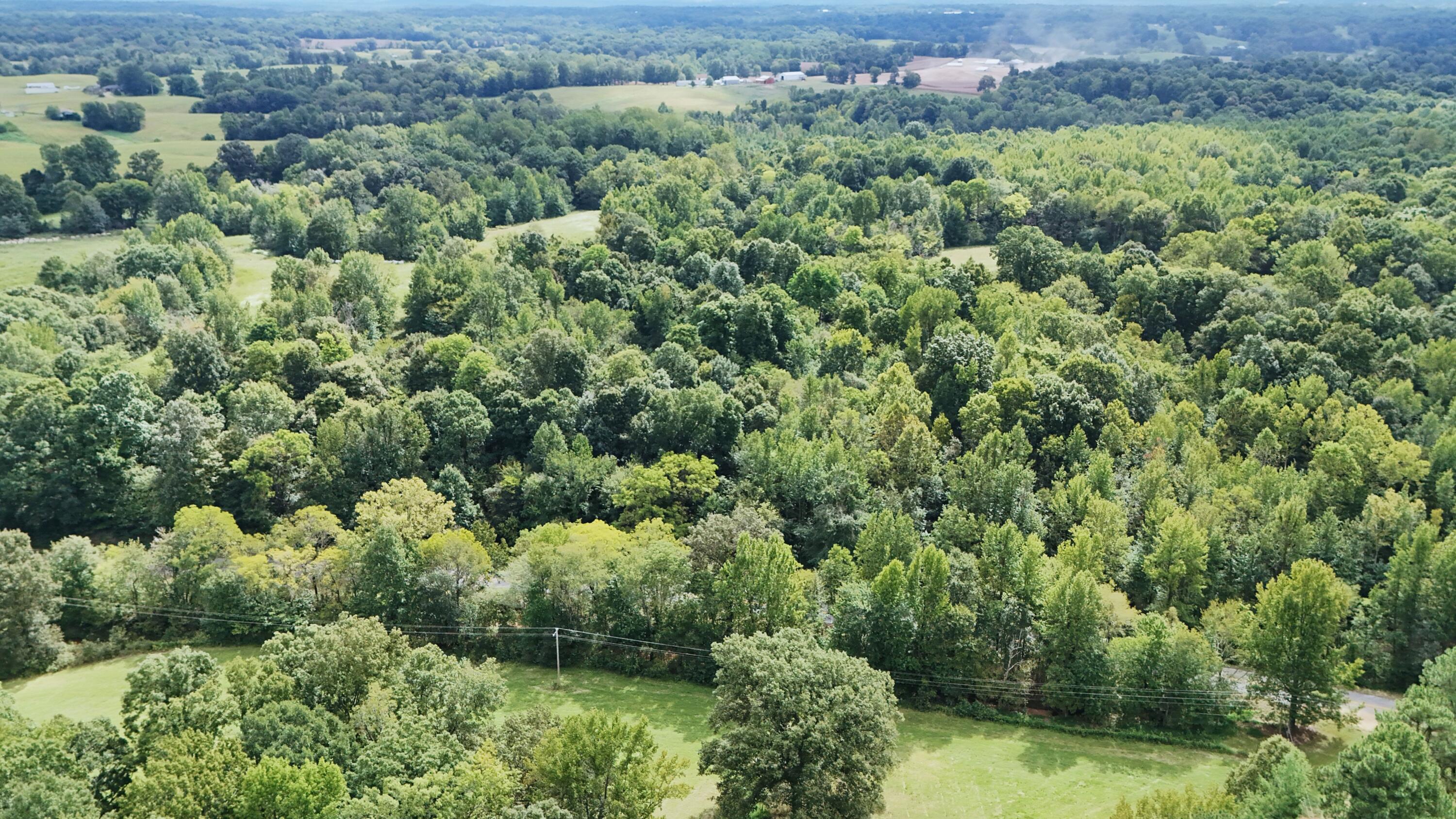 999 Wickliffe Road Wickliffe, KY 42087 - Photo 3 of 13 02