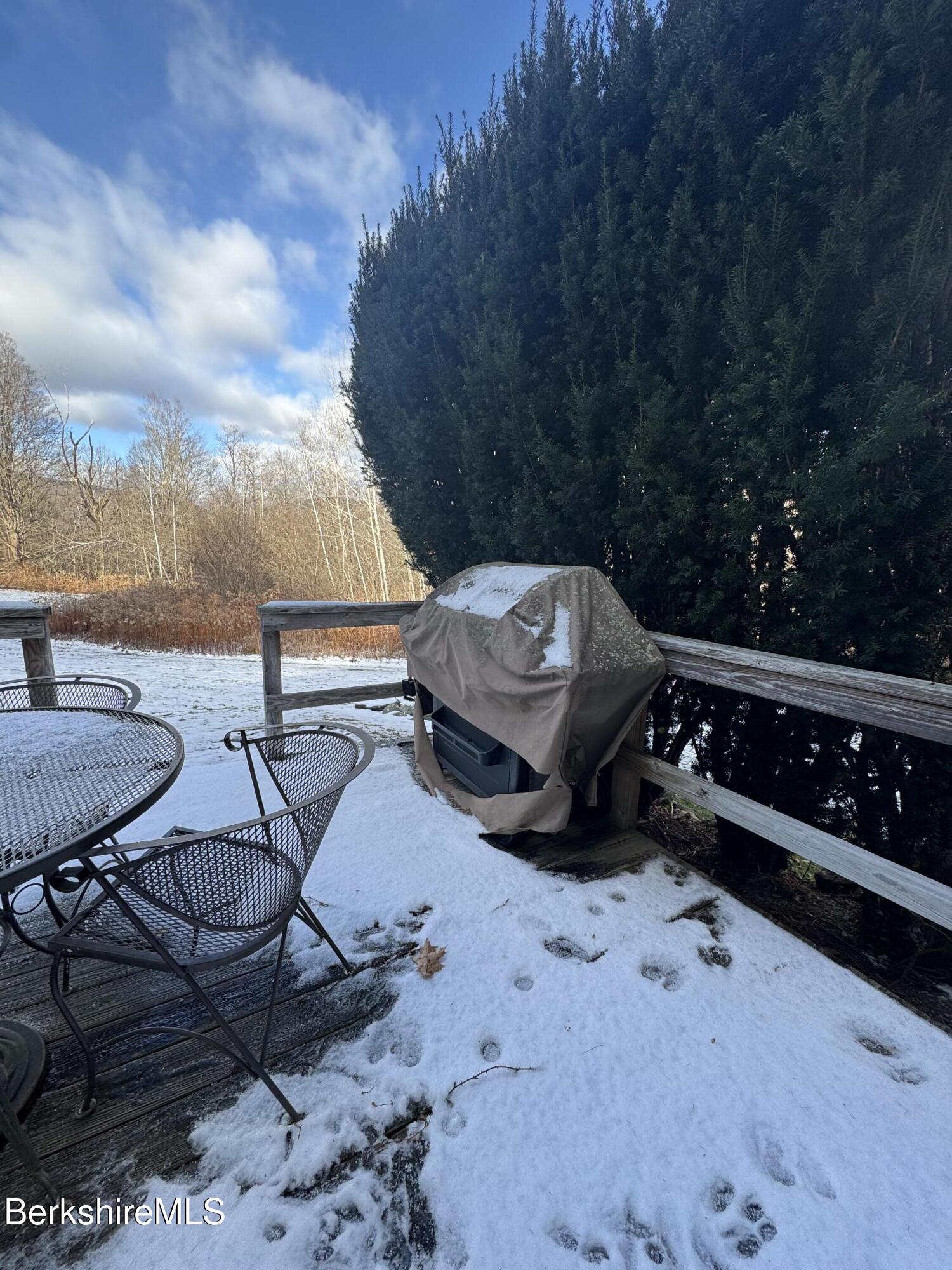 37 Corey Road, Unit 14 Hancock, MA 01237 - Photo 19 of 30 a view of a chairs and table in the patio