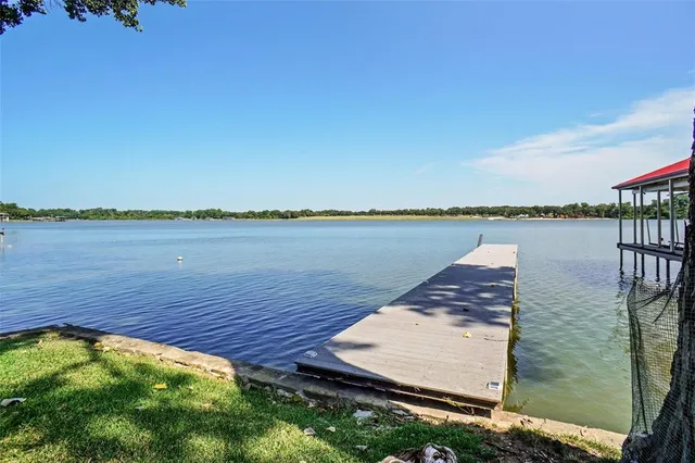 a view of a yard with plants and trees