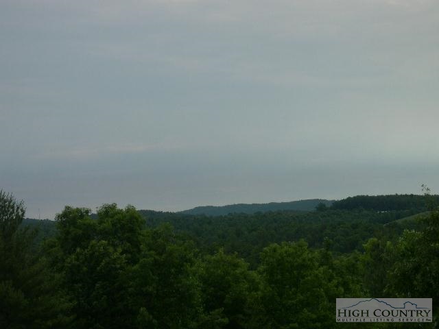 Casper Hawkins Road Ferguson, NC 28624 - Photo 1 of 1 a view of a large garden