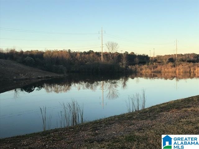 4729 Rosser Loop Drive Bessemer, AL 35022 - Photo 23 of 23
