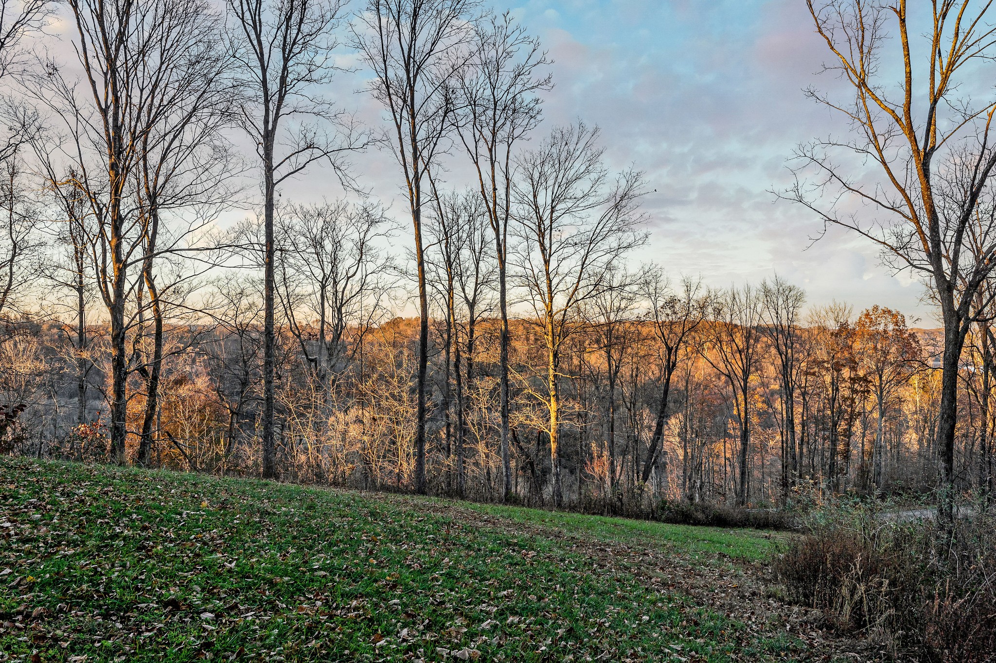 1472 Casey Cove Road Smithville, TN 37166 - Photo 38 of 43 Gallery Image 38