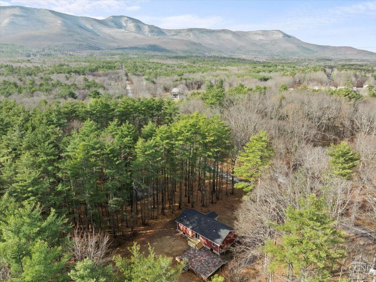 19 Blackhead Mount Road Round Top, NY 12473 - Photo 34 of 37 Photo 34