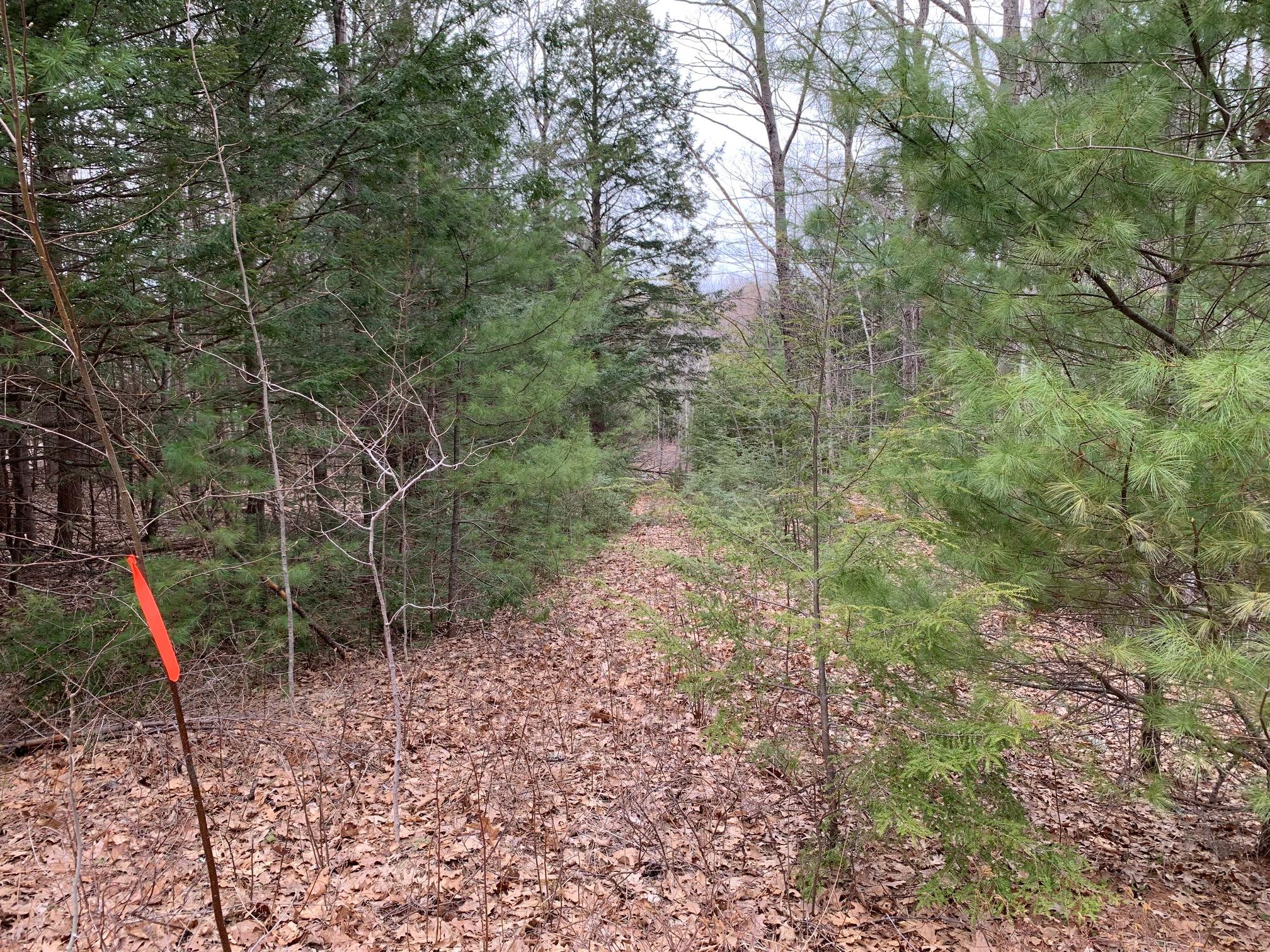 -lot4) River Ridge Drive Biddeford, ME 04005 - Photo 2 of 6 IMG_2465