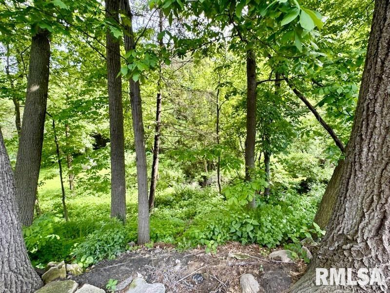 1010 Robin Road Muscatine, IA 52761 - Photo 6 of 32 Gallery Image 6