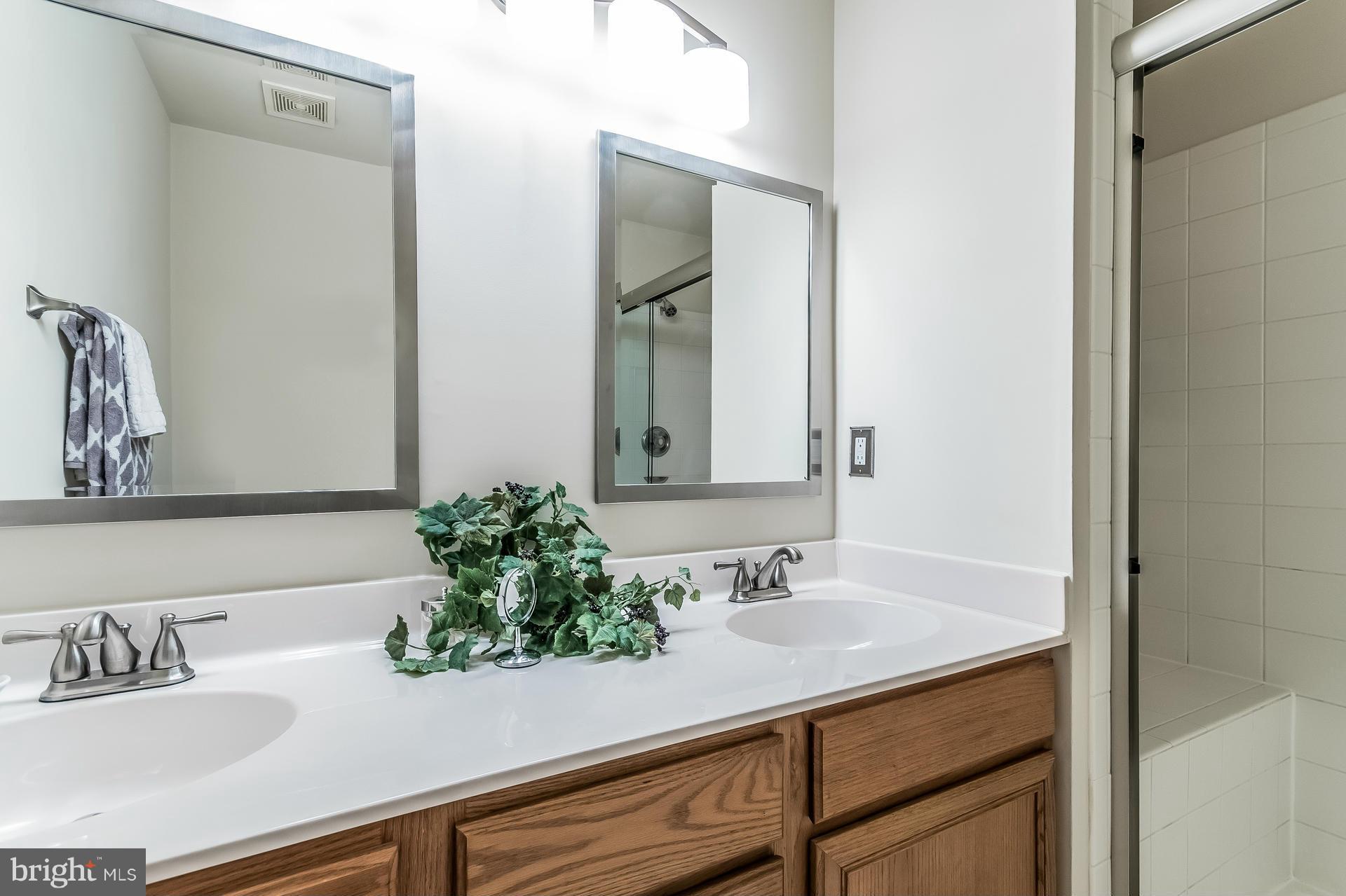 12064 Edgemere Circle Reston, VA 20190 - Photo 20 of 30 Bath (Master)